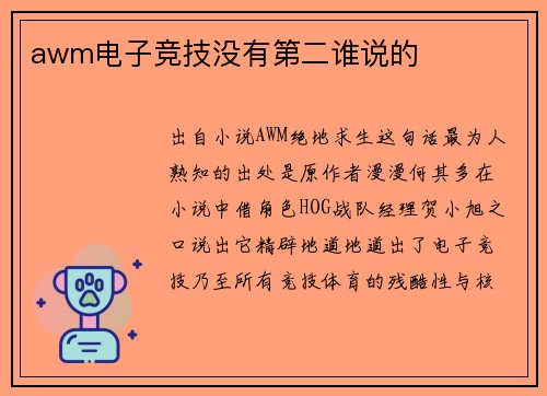 awm电子竞技没有第二谁说的
